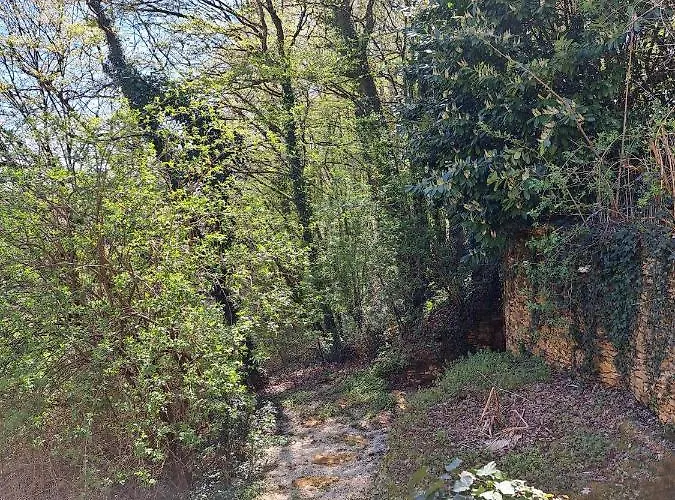 Du Bois De Bontemps Holiday home *